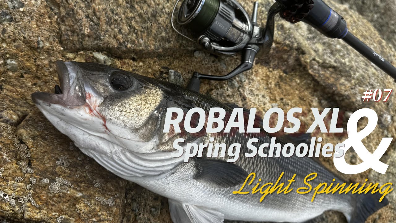 Robalos XL & Spring Schoolies - LIGHT SPINNING SESSIONS #07