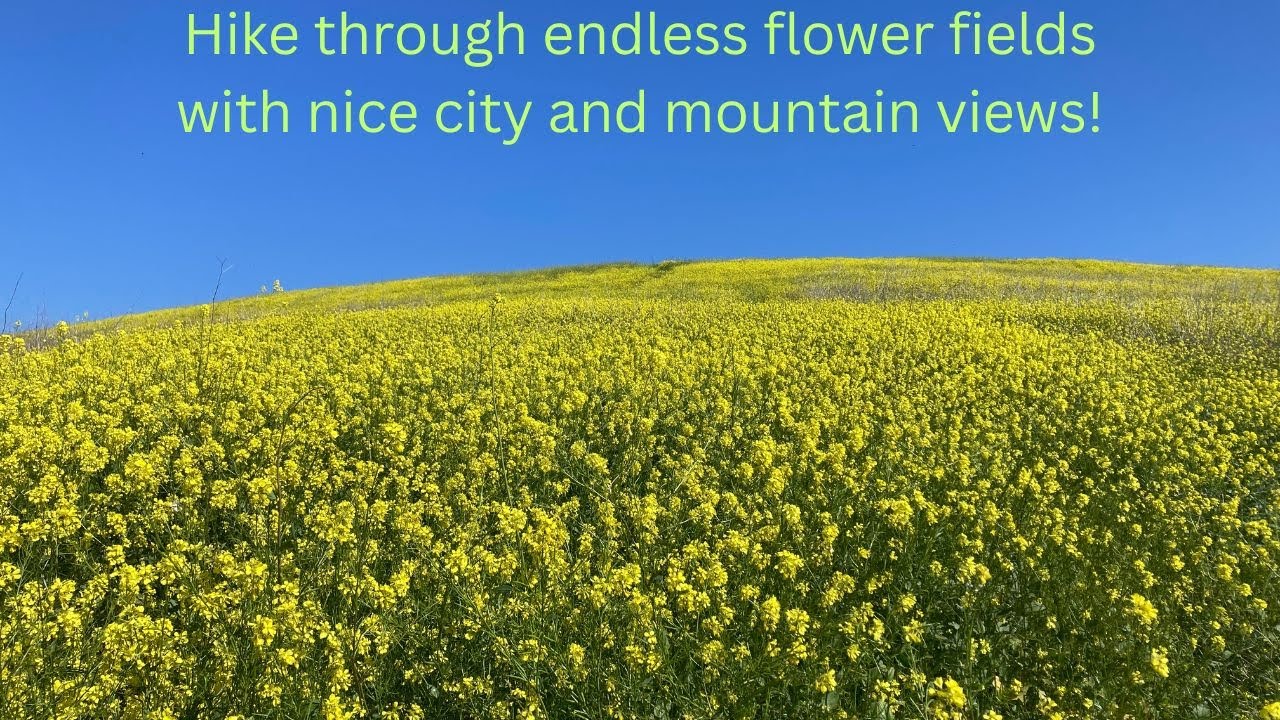 How to Hike San Juan Hill and Gilman Peak + Hike Overview