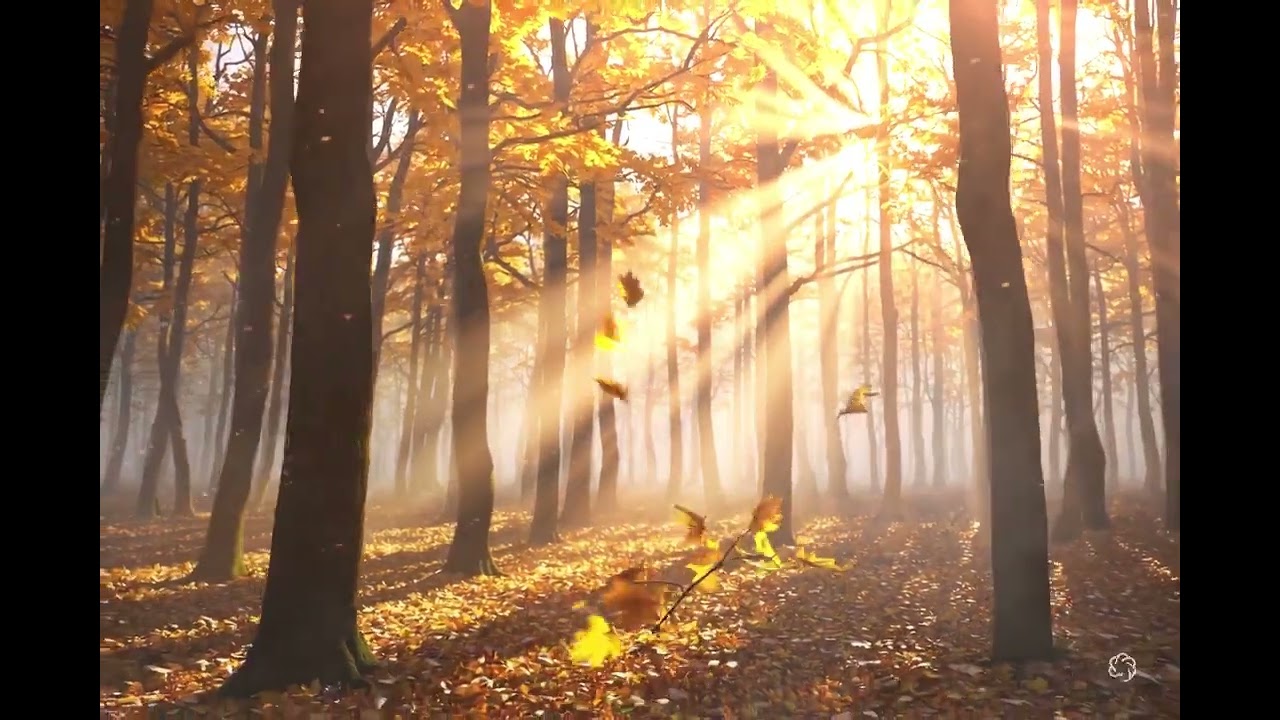 Autumn’s Whisper | Celtic Autumn Instrumental