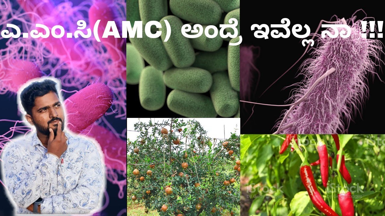 Arka Microbial Consortium | ಅರ್ಕಾ ಮೈಕ್ರೋಬಿಯಲ್ ಕನ್ಸೋರ್ಟಿಯಂ