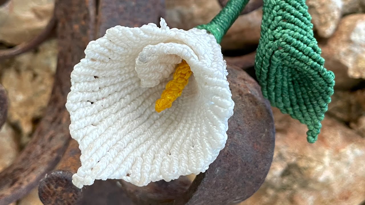 Como hacer una Flor de  Cala / Cartucho en Macramé 💞