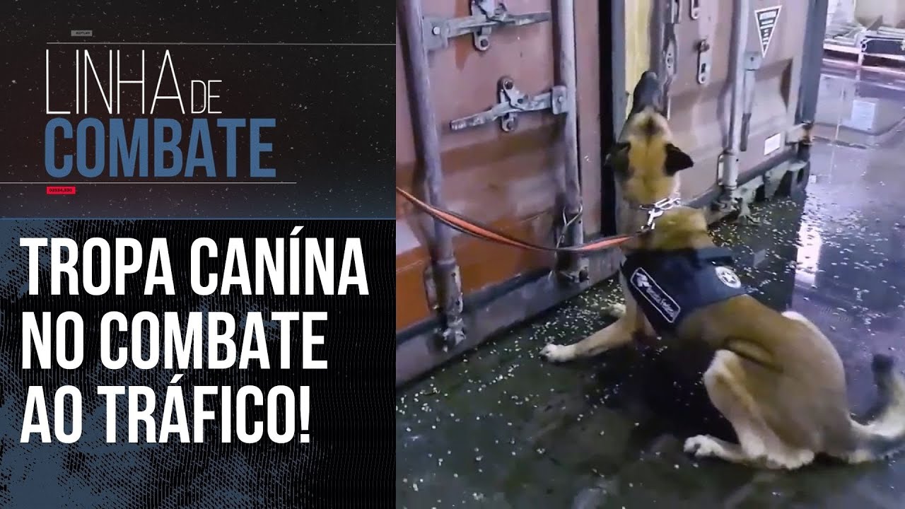 TROPA CANÍNA E RECEITA FEDERAL COMBATEM O TRÁFICO NOS PORTOS DE SANTOS-SP | LINHA DE COMBATE