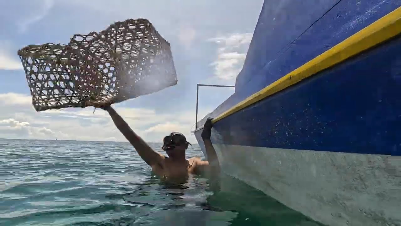camping 3 hari 2 malam berburu ikan berpetualang di dasar laut