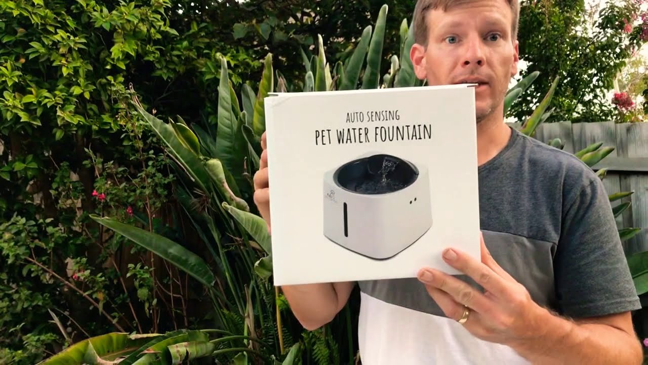 All Fur You Auto Sensor Pet Water Fountain