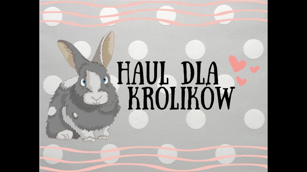 Haul dla królików! | dlakrolika.pl
