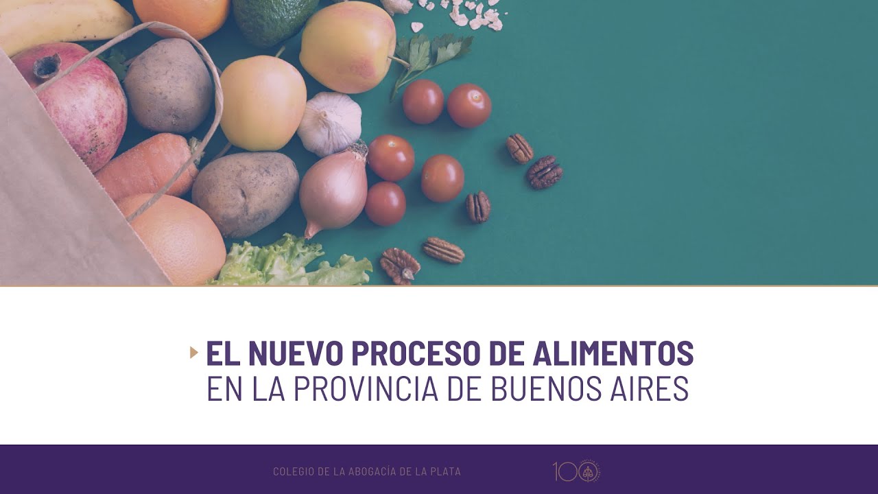 EL NUEVO PROCESO DE ALIMENTOS EN LA PROVINCIA DE BUENOS AIRES