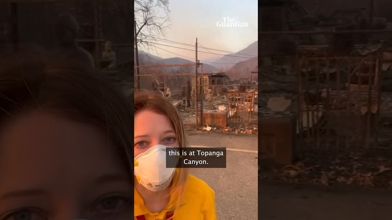 California's 'brutal' wildfires: the 'heartbreaking' fire damage in Los Angeles