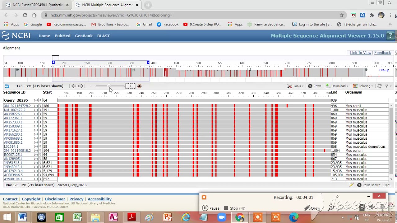 . How do you do a BLAST search ?    Nucleotide BLAST