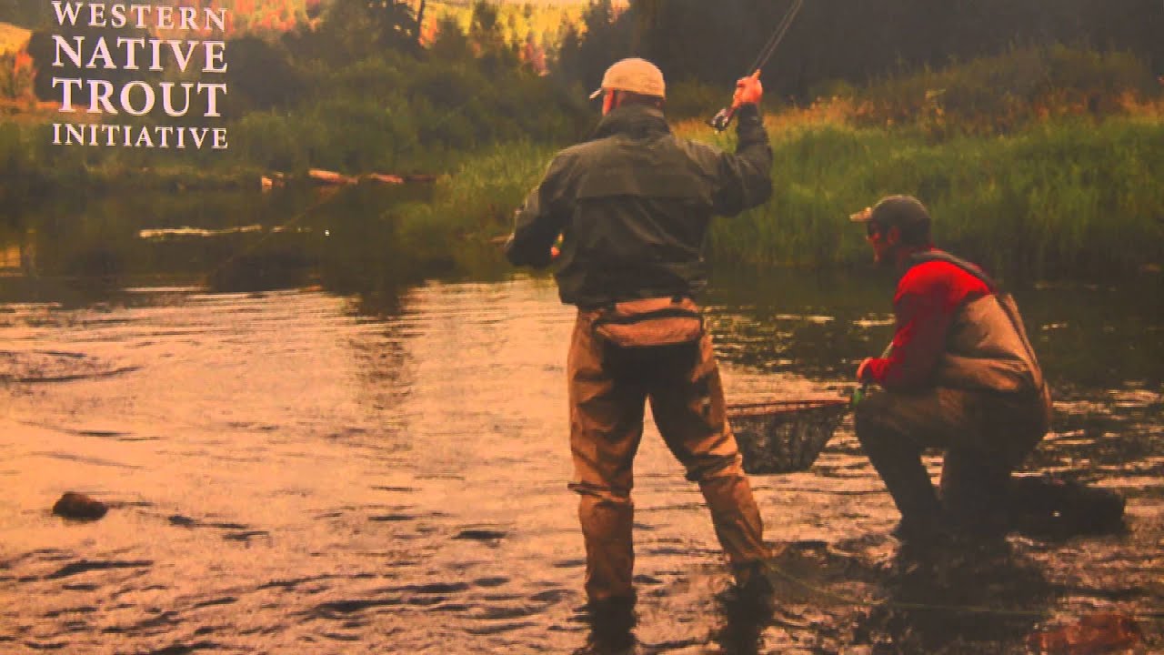 Western Native Trout Initiative: ICast 2013