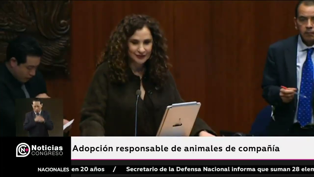Adopci&oacute;n responsable de animales de compa&ntilde;&iacute;a 27/02/26