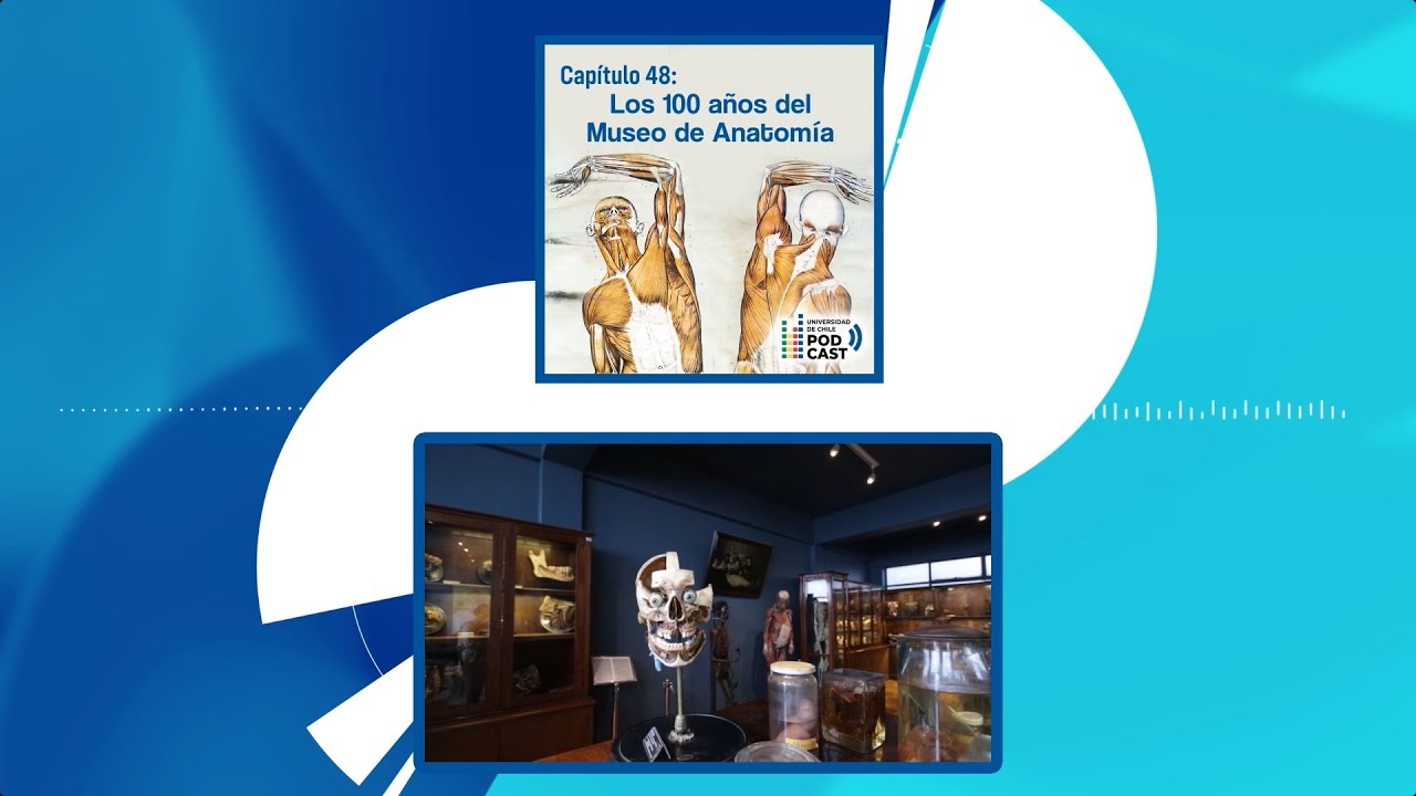 PODCAST | Los 100 años del Museo de Anatomía