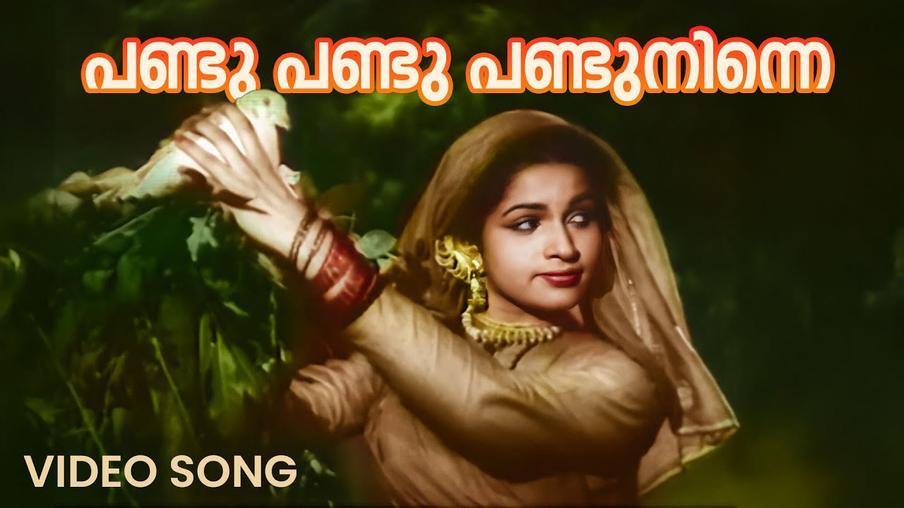 Pandu Pandu Pandu Ninne Video Song | Raarichan Enna Pauran | Mehboob | K Raghavan