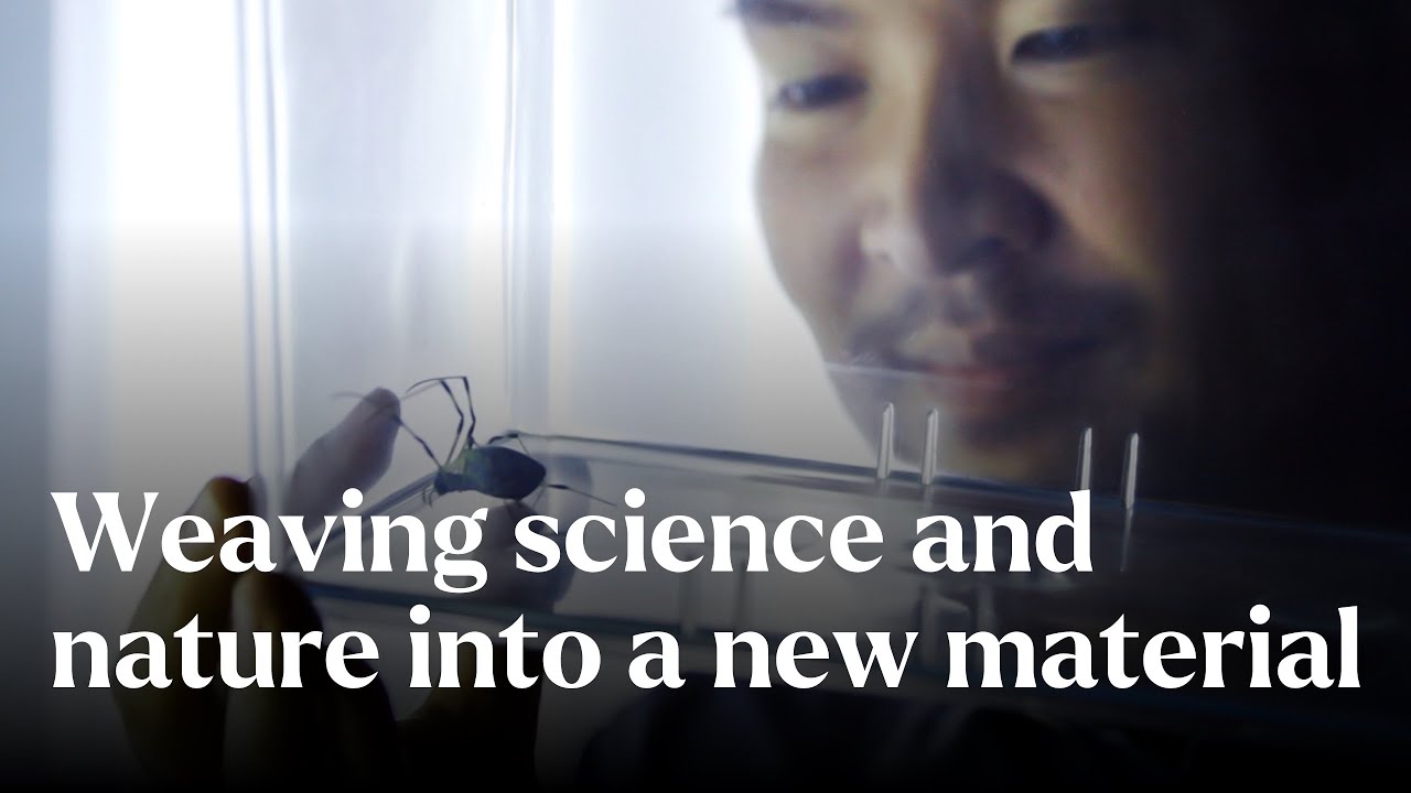 Weaving Science And Nature Into A New Material - Nature's Building Blocks | BBC StoryWorks