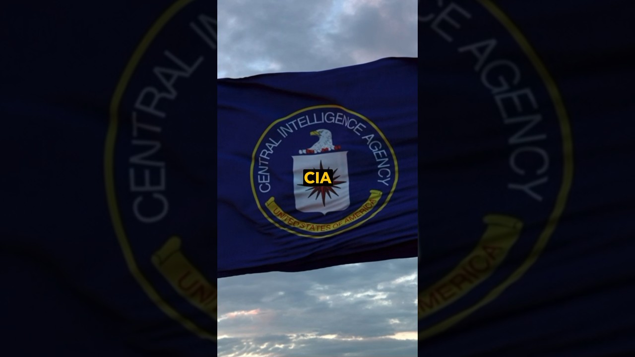 Подразделение наземных военизированных формирований ЦРУ Джо Тети и @JulianDorey #military #cia #s...