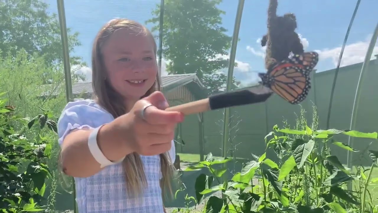 Feeding Animals at Keystone Safari