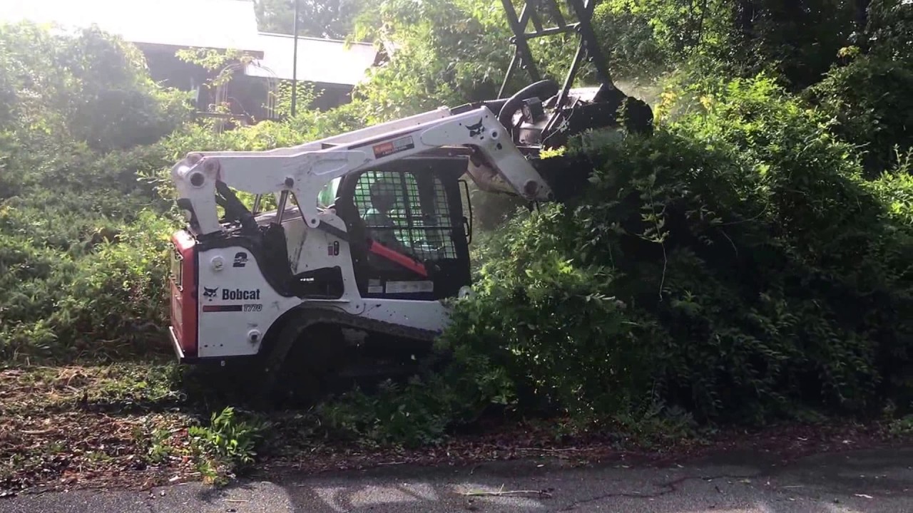 Clearing Overgrowth For Homeowner Using Forestry Mulcher