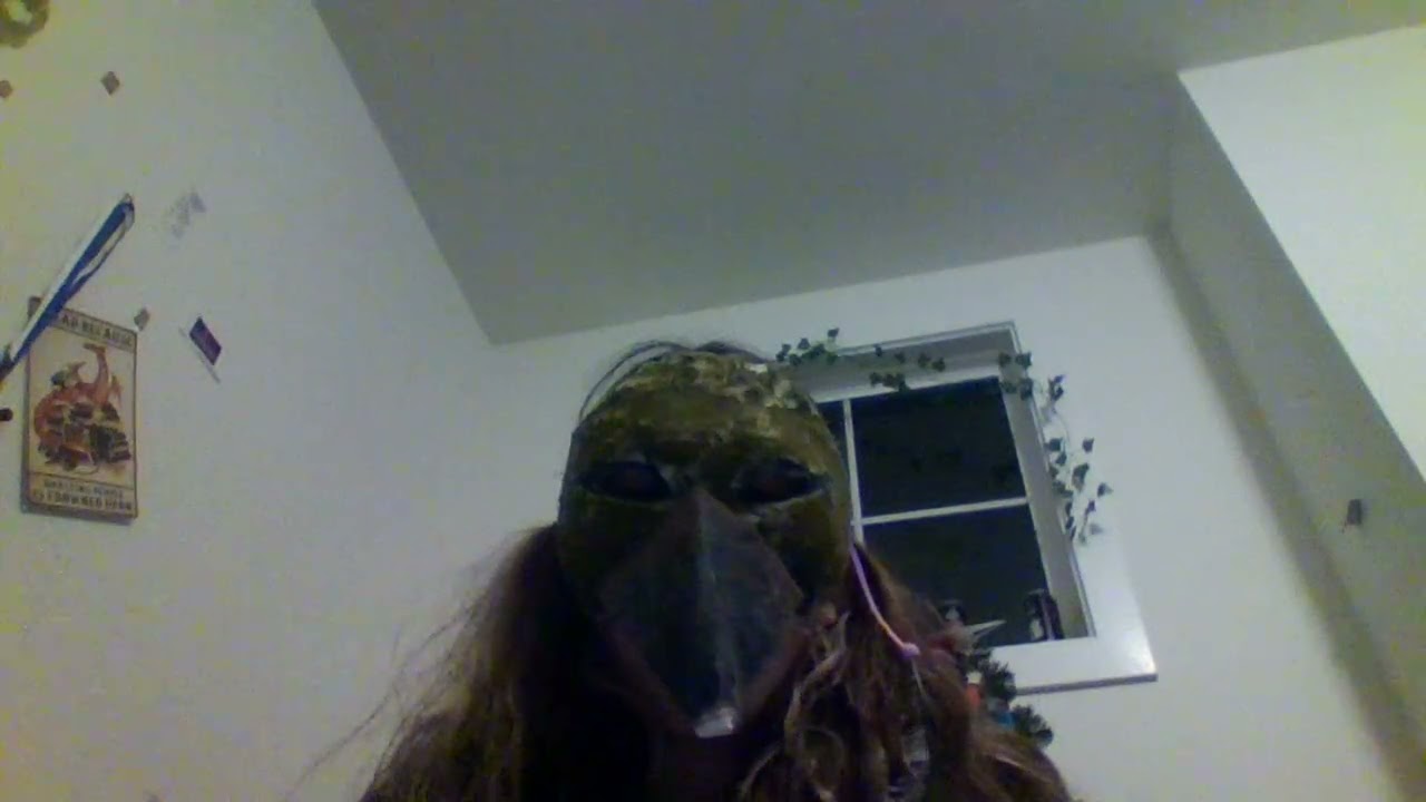 I made a bird mask