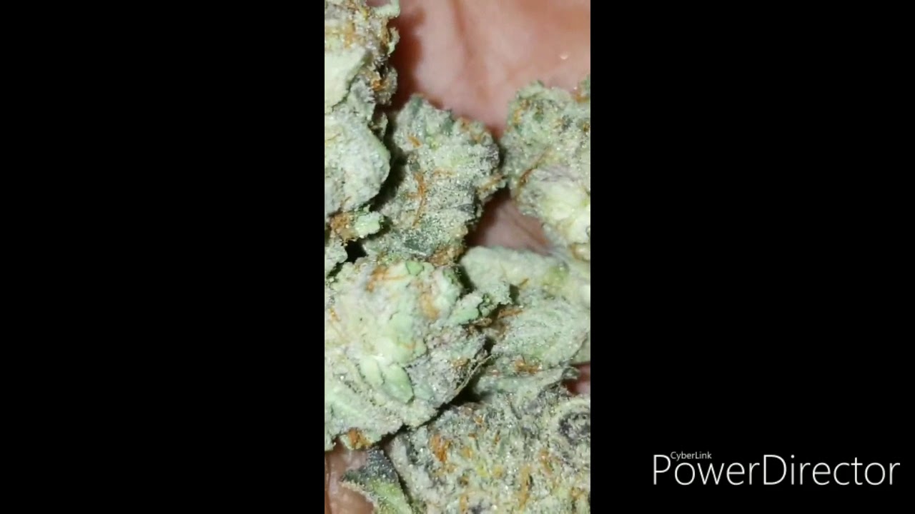 Lava cake review