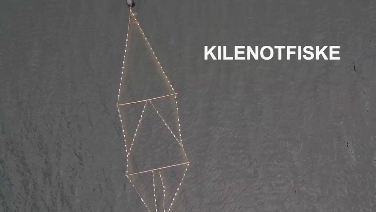 Kilenotfisket - Del 2