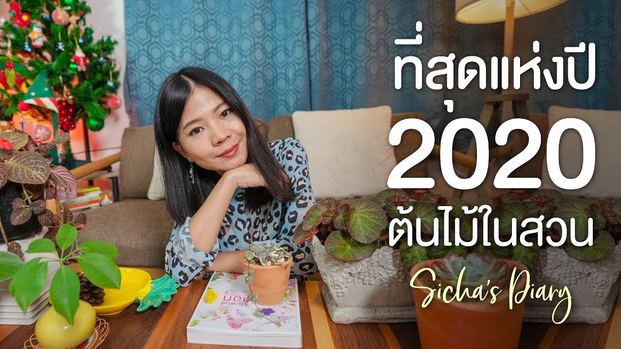 ที่สุดแห่งปี 2020 ต้นไม้ในสวนของสิชา #สวนในบ้าน #สวนหน้าบ้าน #ต้นไม้ในห้อง
