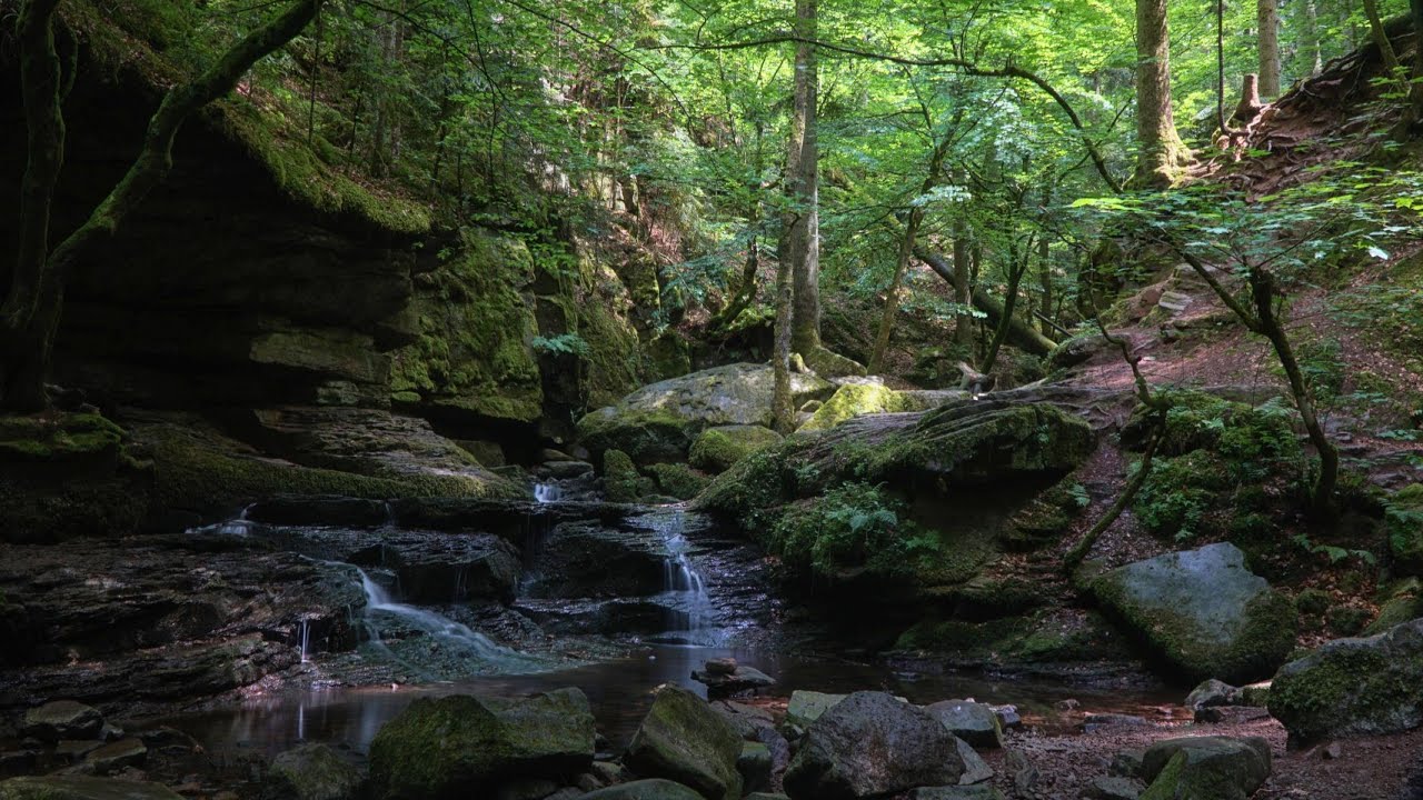 In der Monbachschlucht bei Bad Liebenzell im Schwarzwald