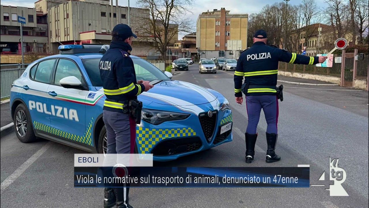 Viola le normative sul trasporto di animali, denunciato un 47enne