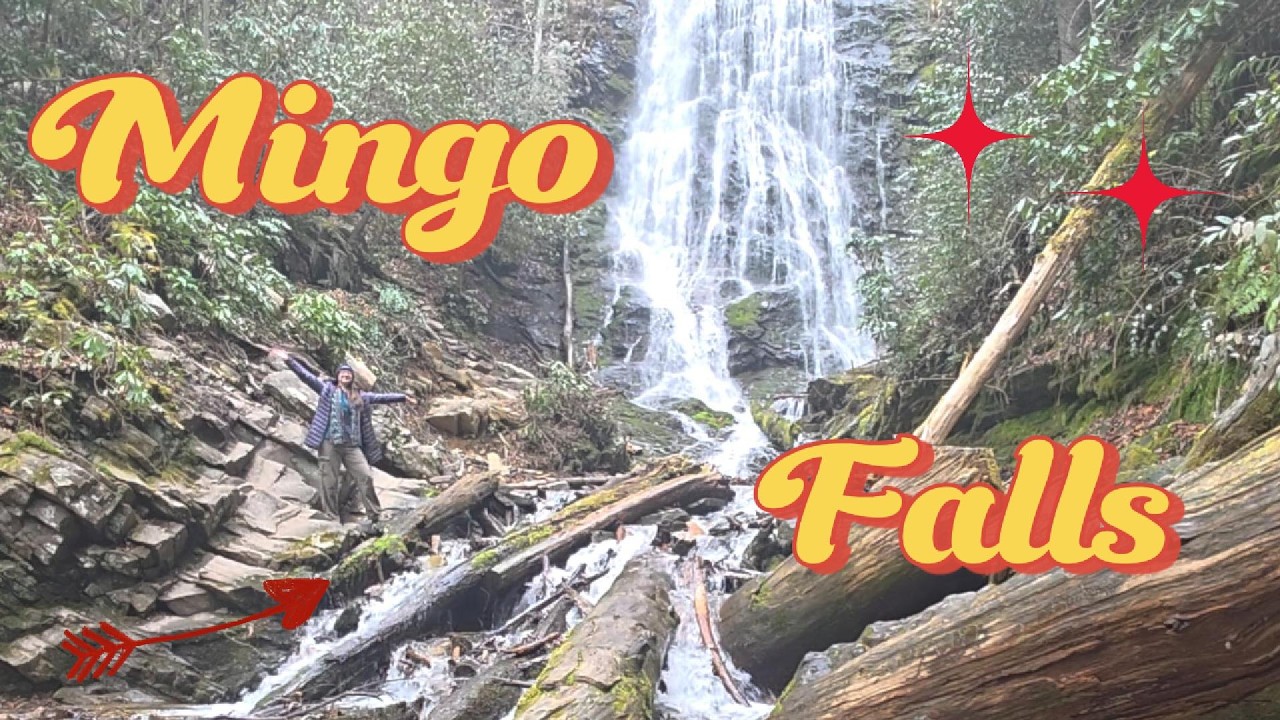 I went up a ton of stairs to see Mingo Falls!