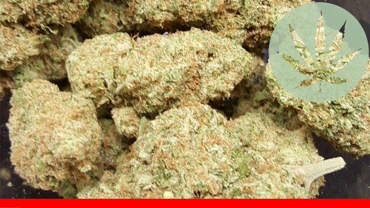 Pineapple Trainwreck - All About This Strain