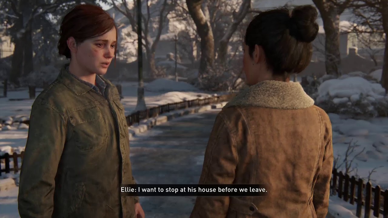 The Last Of Us 2 - CyberDNA13