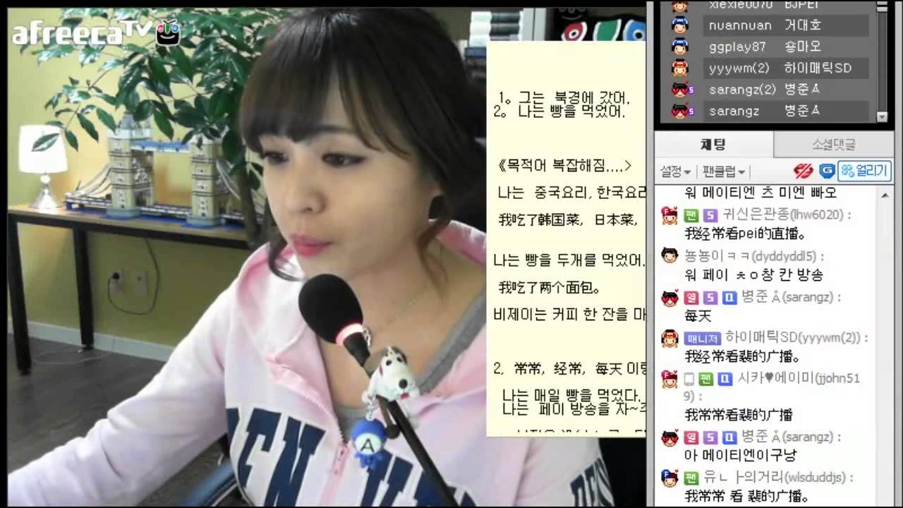 중국어 문법  완료의 了