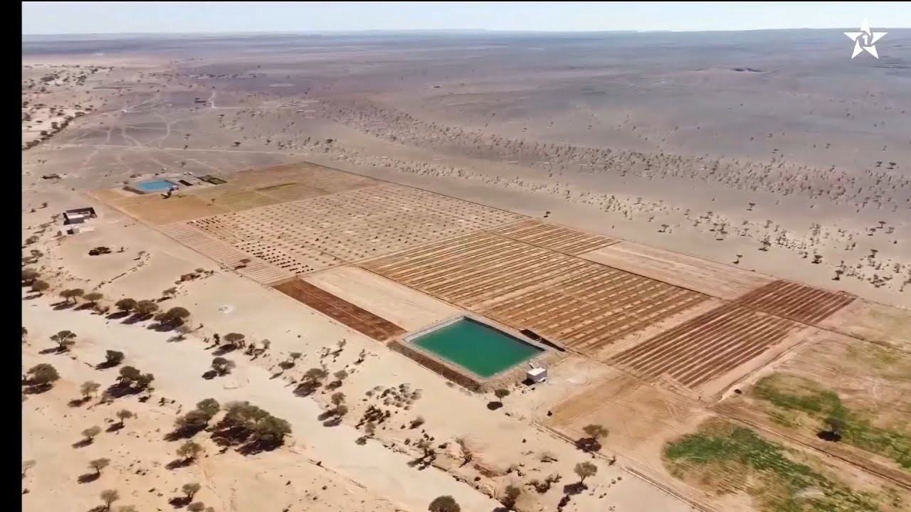 السمارة : نمودج فلاحي مستدام بجماعة الجديرية 