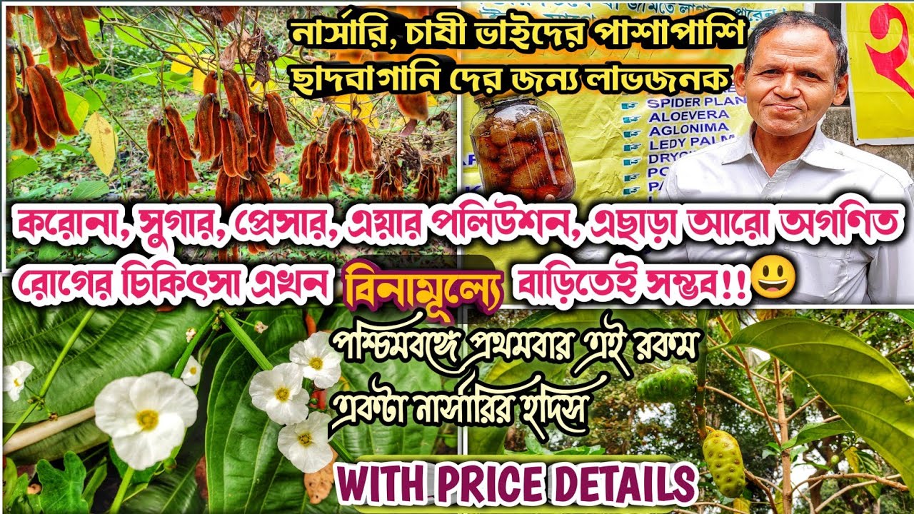 Nature Pod, An Ayurvedic Plant Nursery. Medicinal Plant Nursery. একটি আয়ুর্বেদিক গাছের নার্সারি 😊।