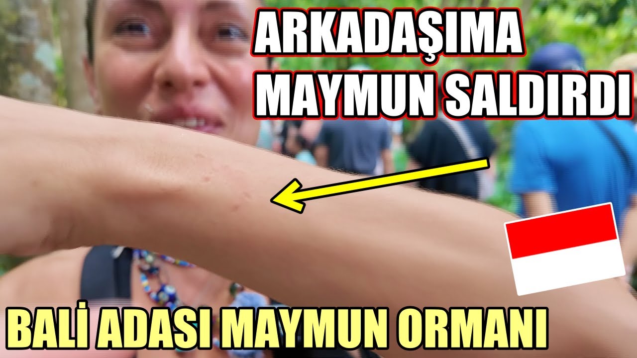 BALİ ADASINA Gittik 🇮🇩 Arkadaşıma MAYMUN SALDIRDI❗️ 【1. BÖLÜM】