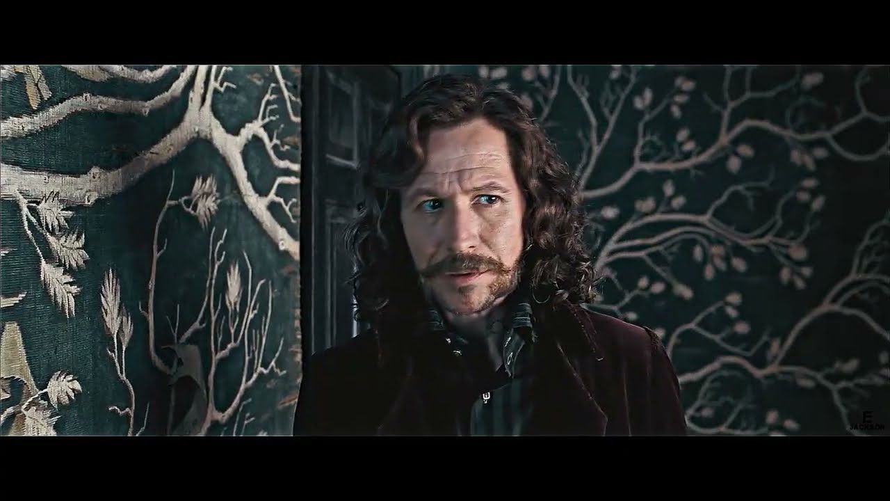 Sirius+Remus Jenny(I Wanna Ruin Our Friendship)