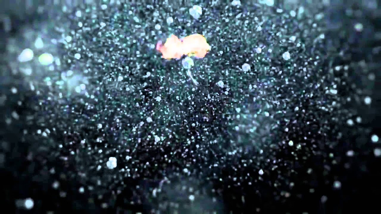Rushhh Star Search Official Trailer