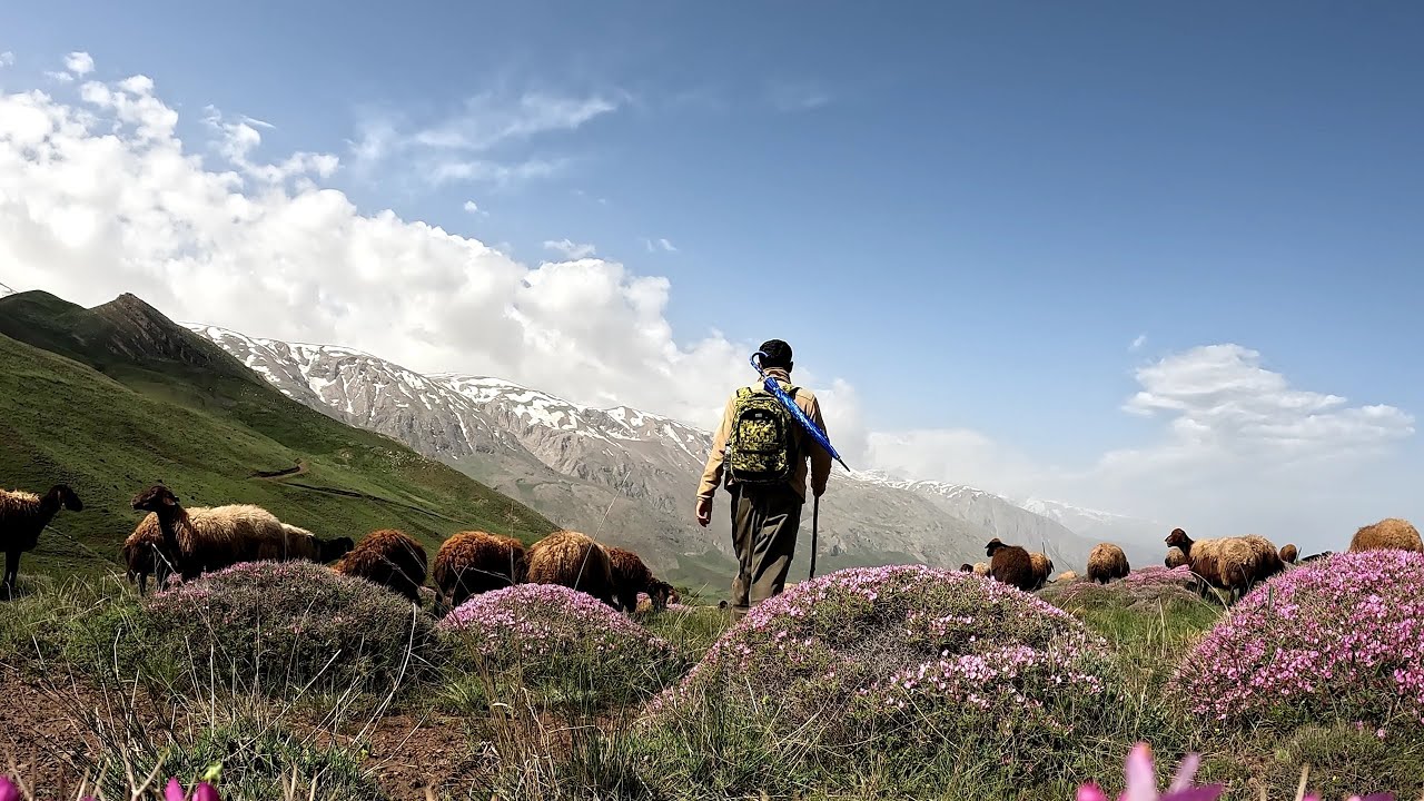 ERZİNCAN KARLI MUNZUR DAĞI ÇOK SOĞUK ! ! (ATARSA 74 )