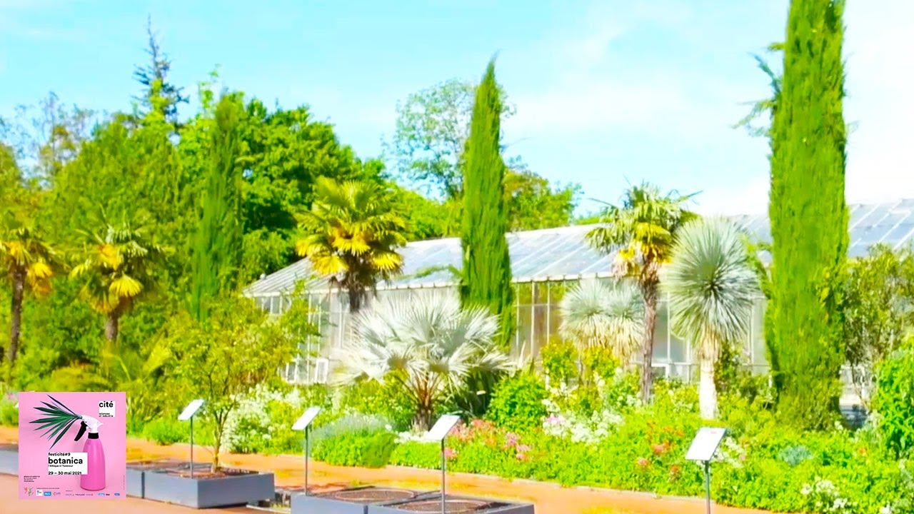 Visite du Jardin Botanique de Lyon