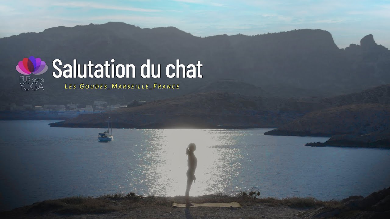 Salutation du chat - Pur Sens Yoga -