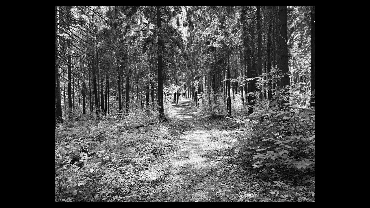 Unnamed group Unnamed Track 2