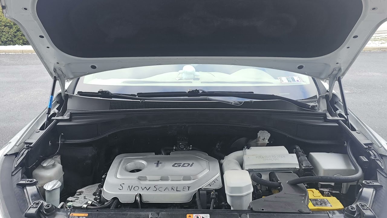 Hood struts for hyundai santa fe sport 2013 to 2017