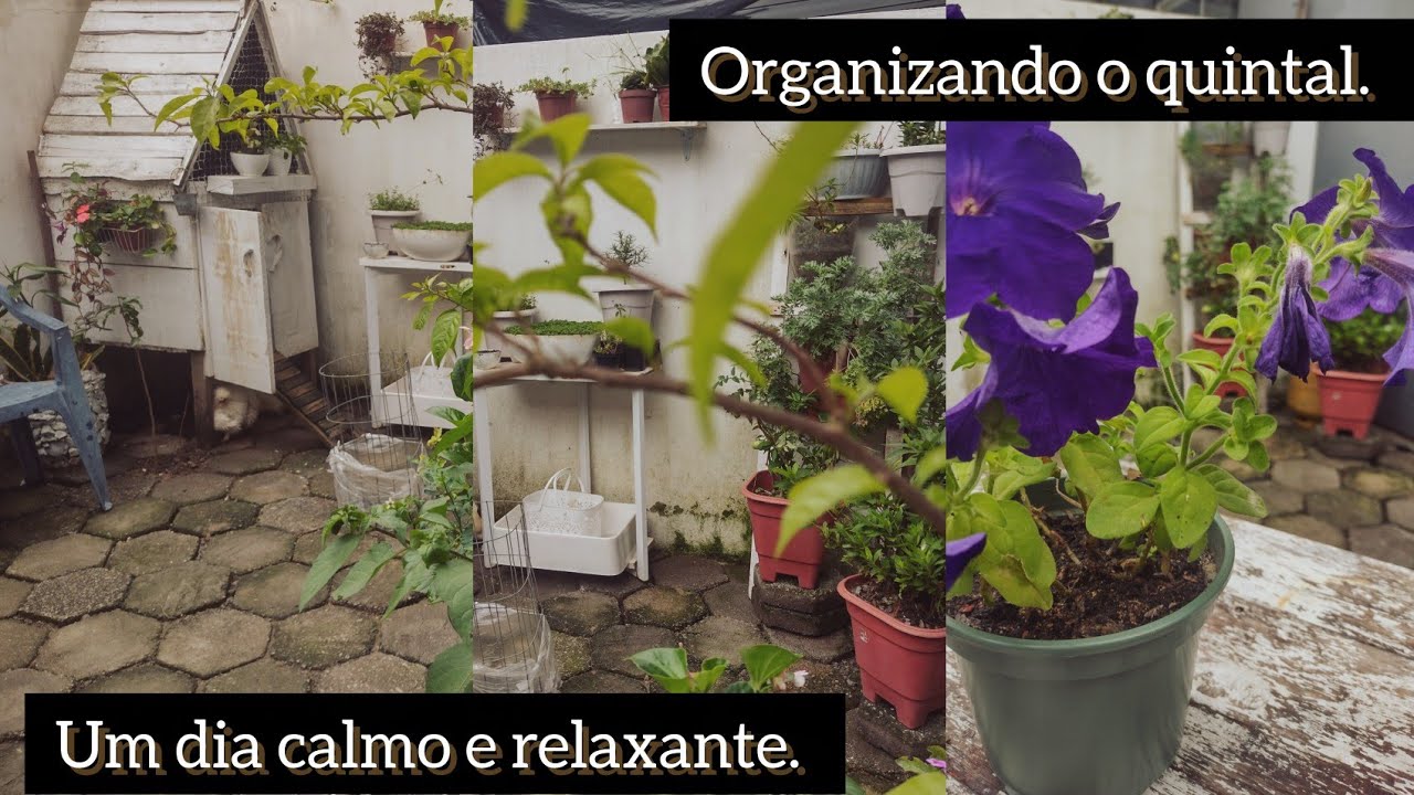 Organizando o Quintal com Calma 🌿Transformação Relaxante