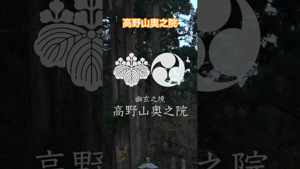 幽玄之境！高野山奧之院，高野山最神秘的地方 #日本之旅 #高野山 #高野山奧之院