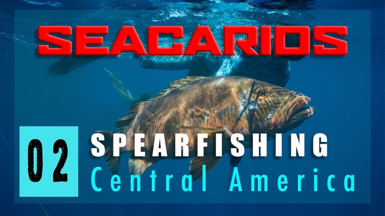 Spearfishing Panama - Seacarios