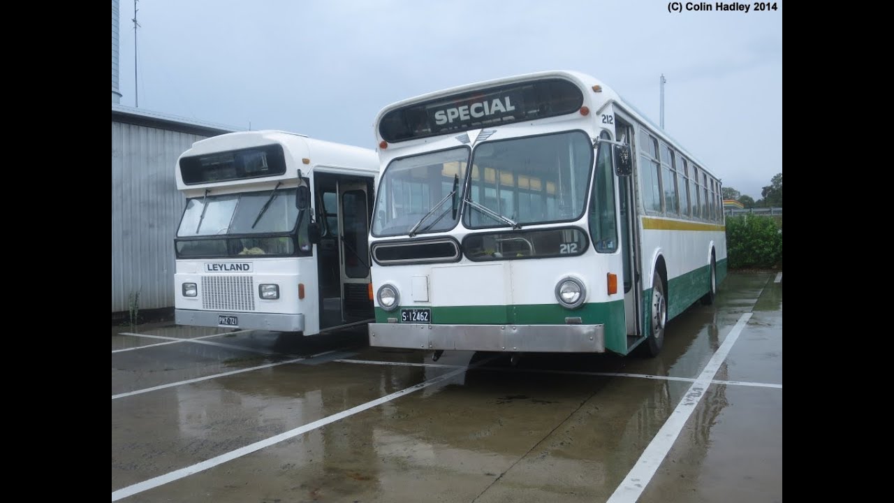 QOCS ex BCC Leyland Panther 721 Doyles Adelaide 1972 AEC Swift 212