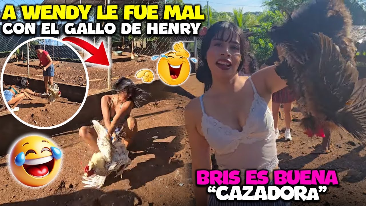 MORIRÁS DE RISA 😂 ¡quiten me este animal! ¡Ay ay! WENDY se dio duro con el GALLO de HENRY.
