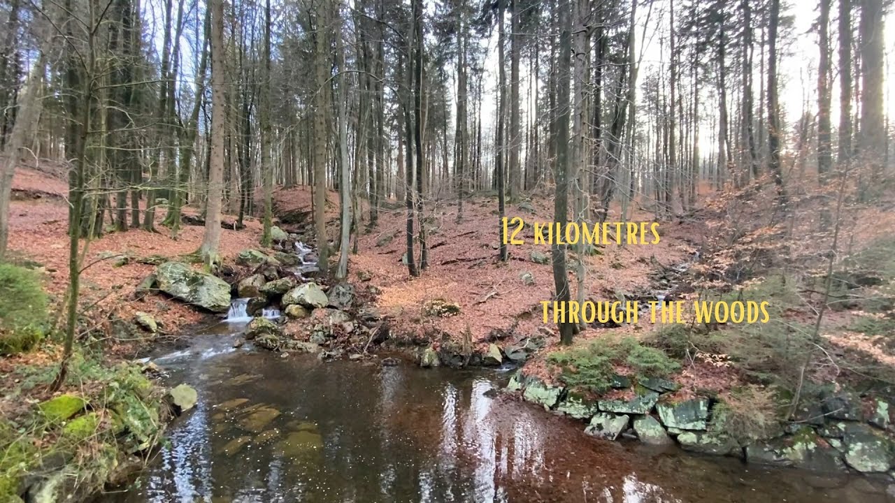 12 kilometres through the woods - hiking short film