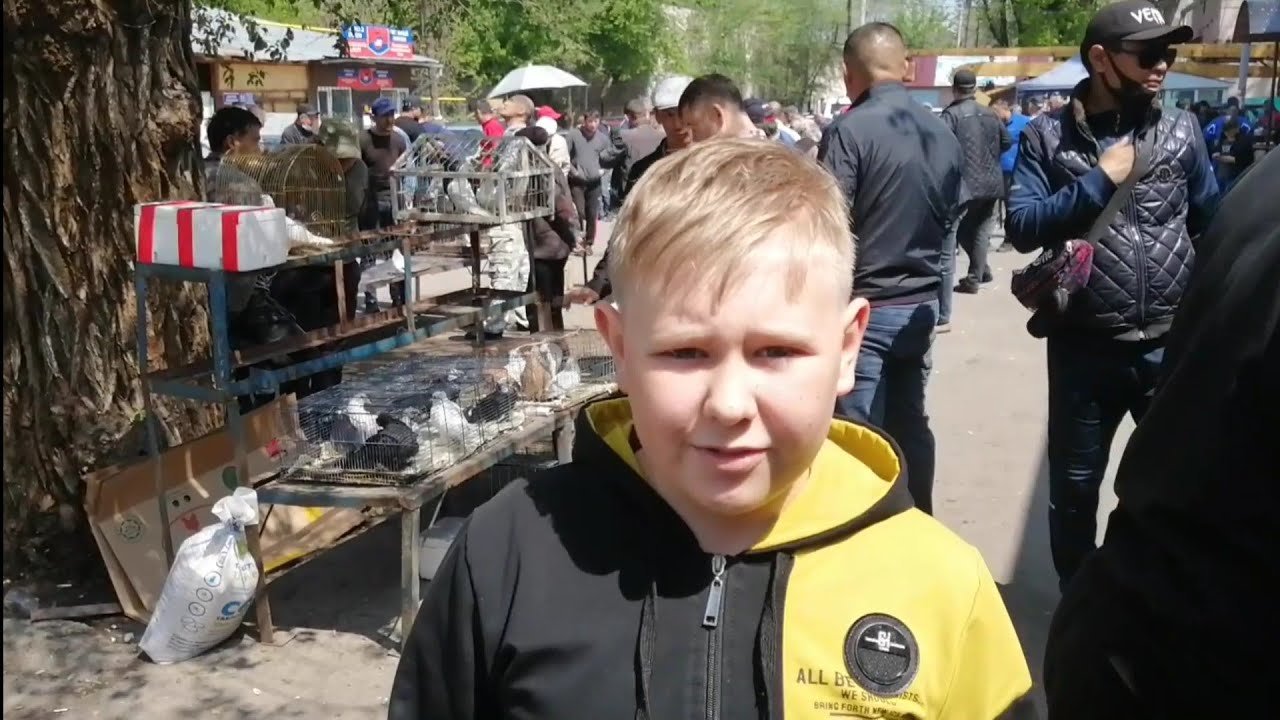 Птичий рынок🕊г. Алматы! Верненский базар!/Bird market in Almaty!/