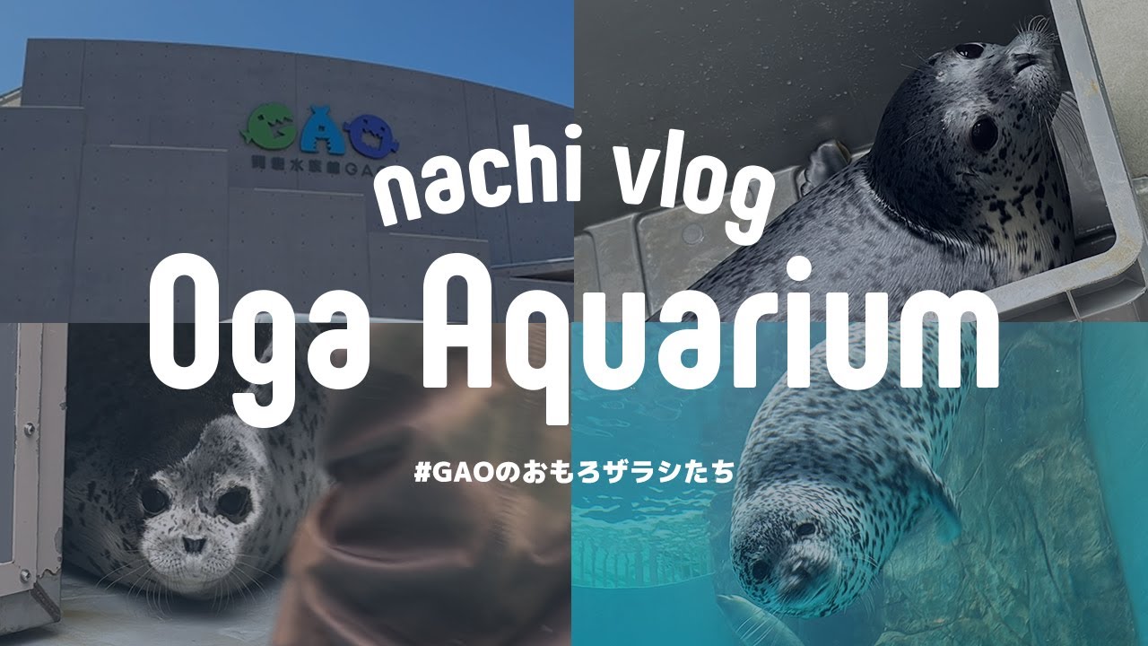 〈 GW遠征⑩ 〉男鹿水族館GAOのおもしろザラシたち / 秋田旅行2日目 / 笑顔が可愛いホッキョクグマのモモ〈 水族館巡り 〉