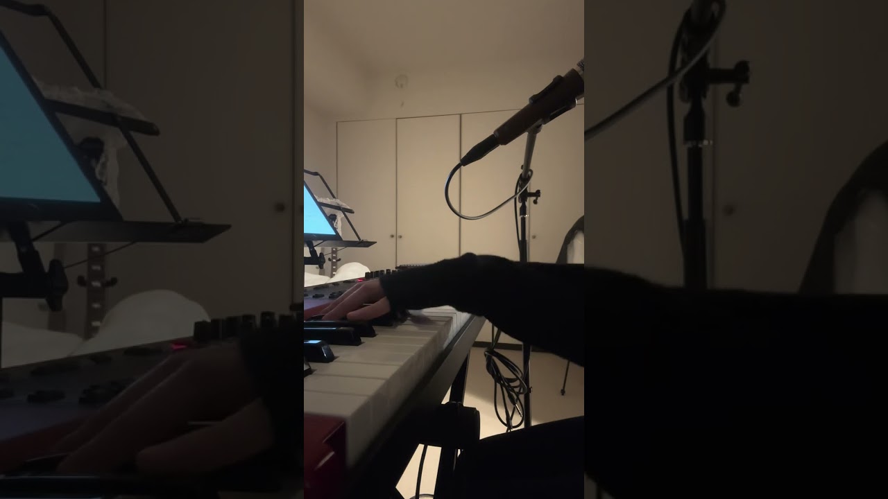 【cover】Lip Noise/TOMOO