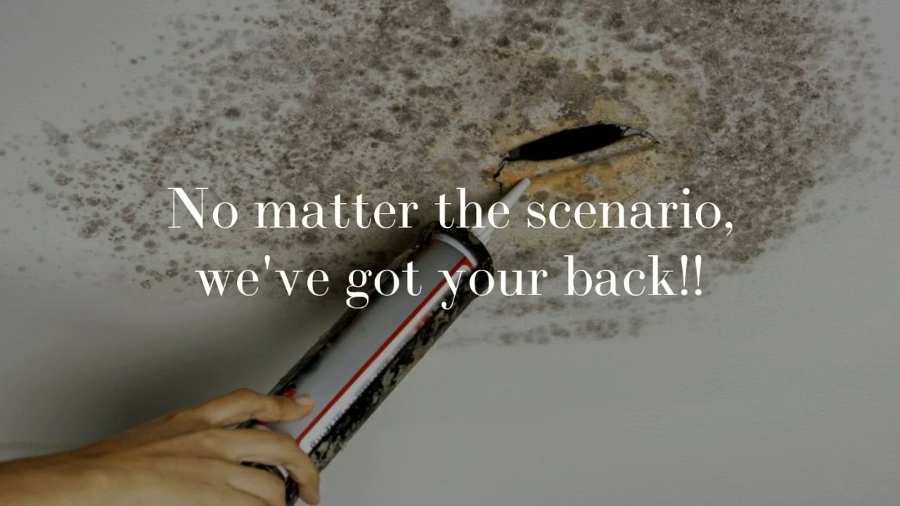 San Francisco Water Damage Repair and Restoration - 415-390-6955